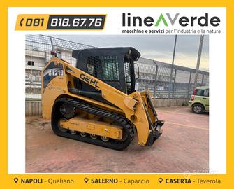 Minipala cingolata Ghel RT210