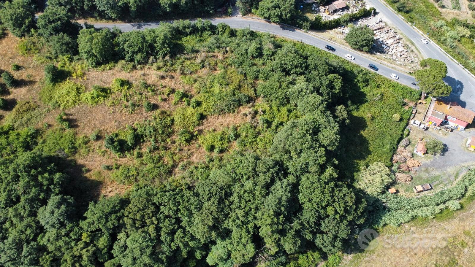 Terreno agricolo nel Parco del Lago di Bracciano - Vista 5