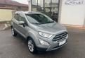 Ford EcoSport 1.0 ecoboost Business s&s 125cv my19