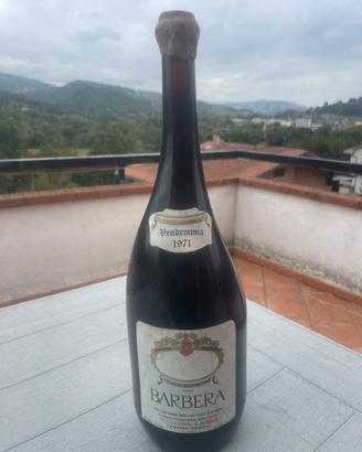 Rara Barbera 1971 MAXI Gallone 3,78 Litri