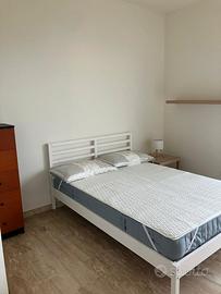 Stanze vicinanze S.Raffaele