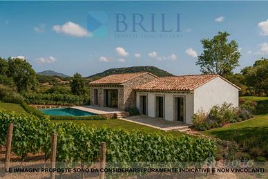 Terreno agricolo panoramico con progetto approvato