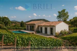 Terreno agricolo panoramico con progetto approvato