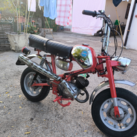 Benelli mini bike