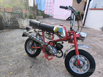 Benelli mini bike