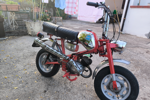 Benelli mini bike