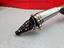 Immagine 7
