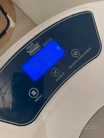 Vaschetta compresa di supporto