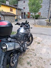 Suzuki v strom 650