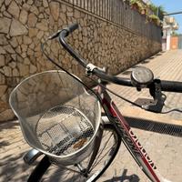 Bici passeggiata