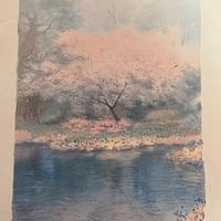 Stampa visione natura