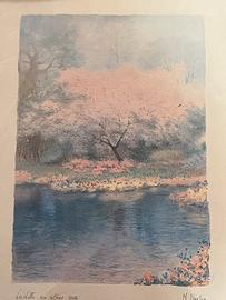 Stampa visione natura