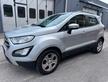 Ford EcoSport 1.0 EcoBoost 125 CV Start&Stop aut. 