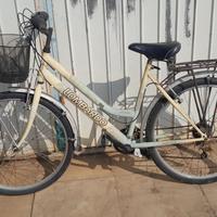 bicicletta funzionante