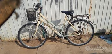 bicicletta funzionante