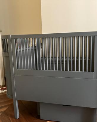 Lettino sebra estensibile