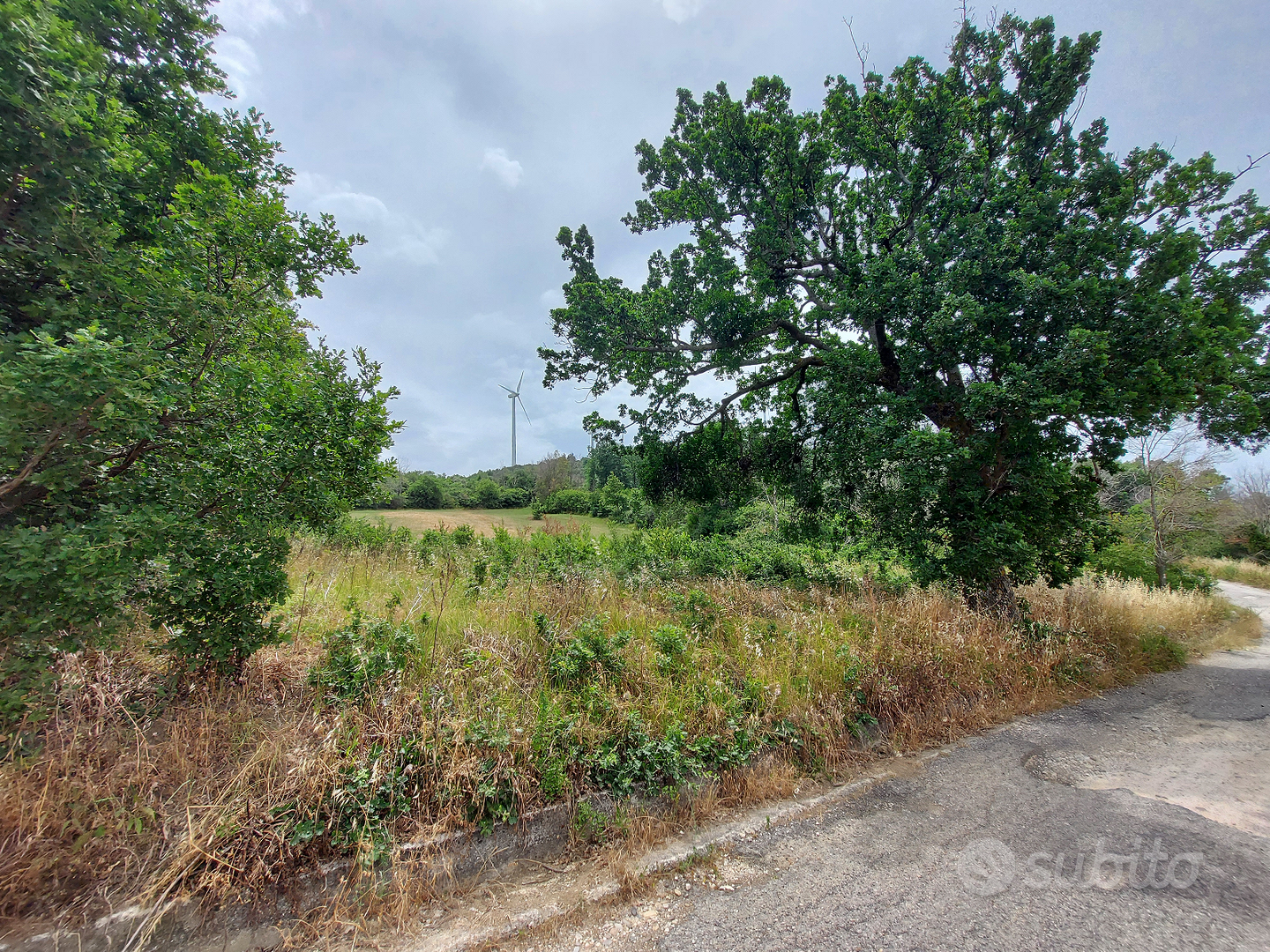 Terreno di 16400 mq uscita autostradale Contursi - Vista 2
