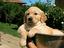 Immagine 6