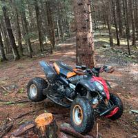 Polaris predator 500