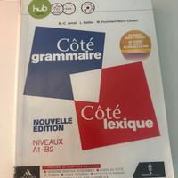 Libro coté grammaire coté lexique