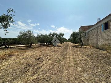 TERRENO A CERIGNOLA