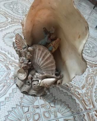 Grande Conchiglia Marina Vintage