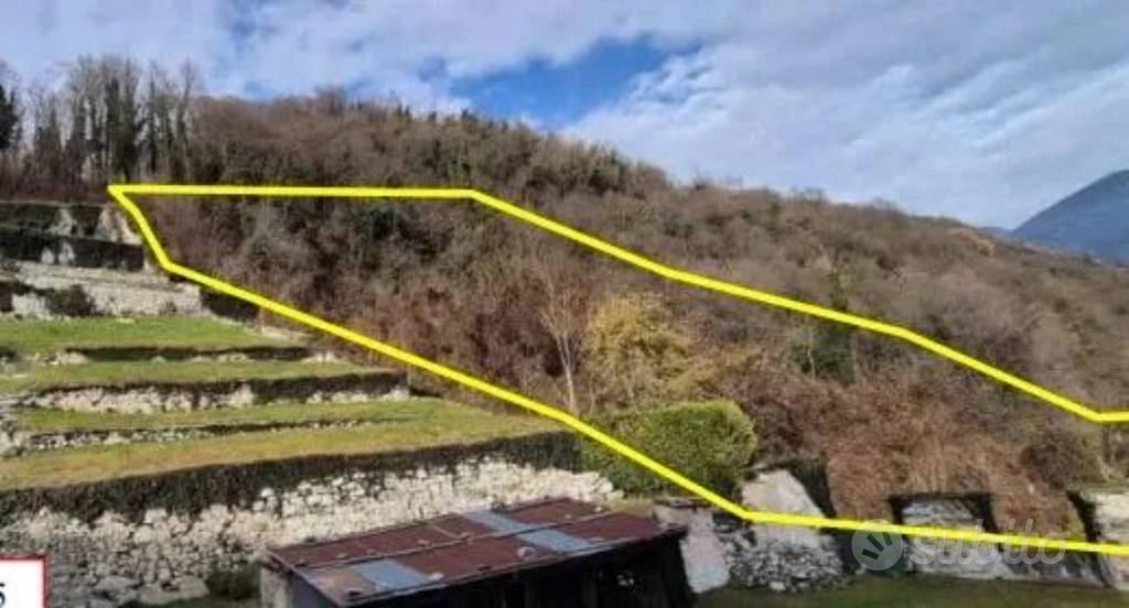 Immobile in asta di 2622 m² a Borgo Valsugana - Vista 3