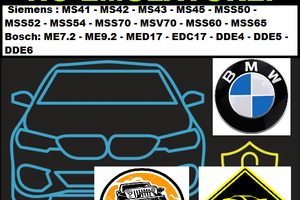 BMW IMMO OFF MS41-MS42-MS43-MS45-EDC16 swap, ecc..