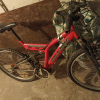 Crown Gold bike