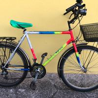Bicicletta con cestino