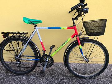 Bicicletta con cestino