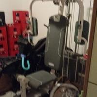 Palestra
