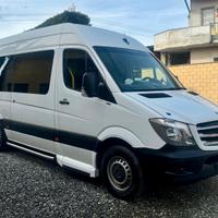 Sprinter 9 posti, sollevatore disabili