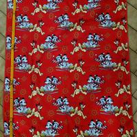 telo palestra Natale