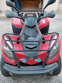 quad linhai 300 
