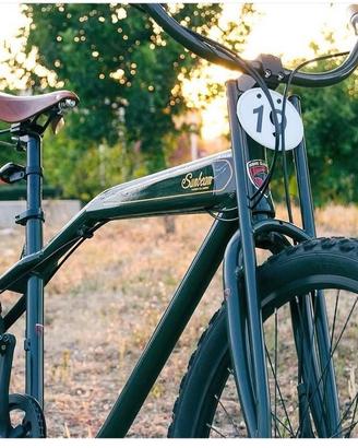 Hawk Classic Bike