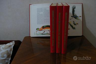 "Enciclopedia degli animali"