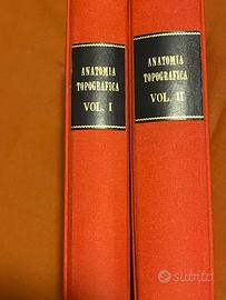 Anatomia topografica