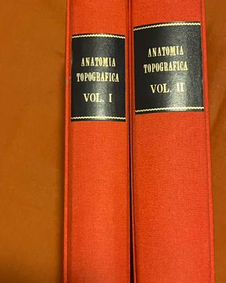 Anatomia topografica