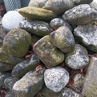 Sassi per decorazione giardino