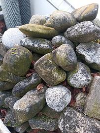 Sassi per decorazione giardino