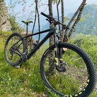 Mtb 29 cube  Reaction SL