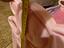 Immagine 5