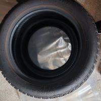 gomme termiche STRYAL