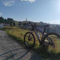 MTB corratec xbow 29