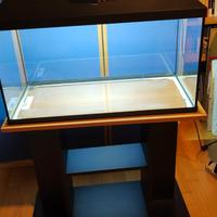 Acquario aquael 100 l