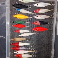 totanare dtd