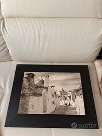 Quadro foto alberello