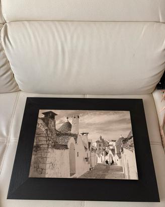 Quadro foto alberello