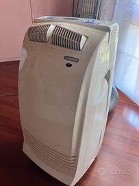 Condizionatore pinguino